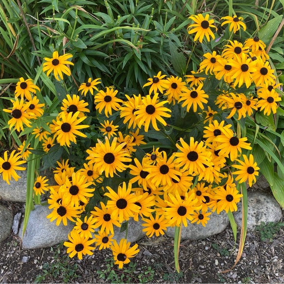 Meet your Posher, K - Picture 1 of 1